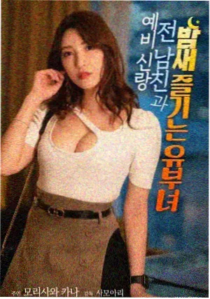 候鸟驿站修复版剧照